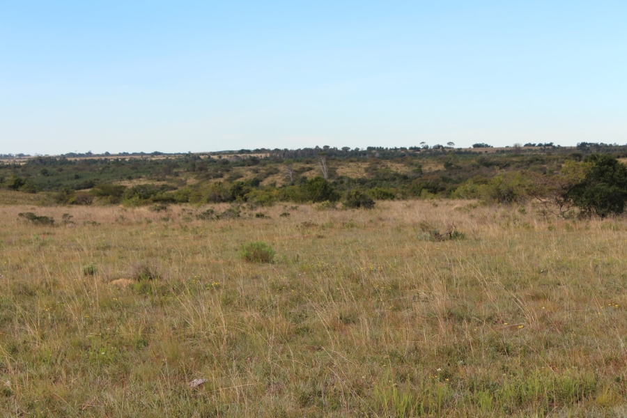 1 Bedroom Property for Sale in Bathurst Rural Eastern Cape
